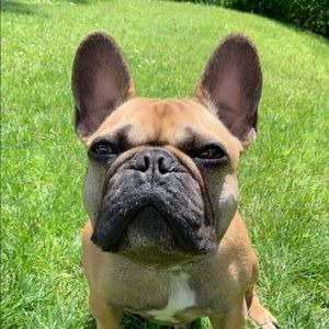 Meet your Posher, Alexandra